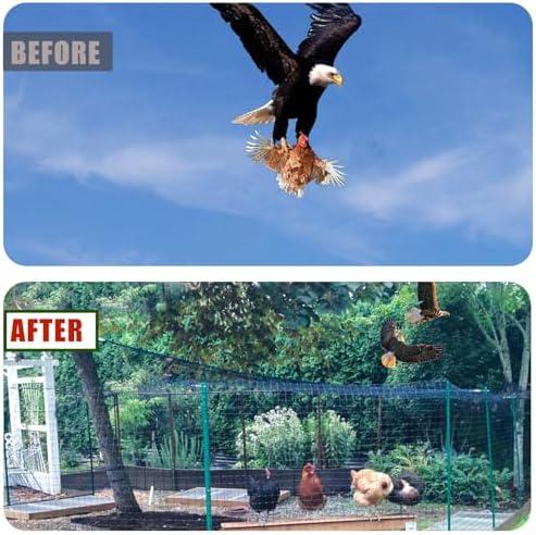 bird netting for chicken coop roof,50' x 50' showing dimensions