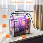 rifny plant terrarium with grow light, glass terrarium showing dimensions