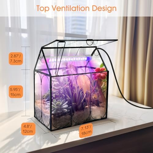 rifny plant terrarium with grow light, glass terrarium showing dimensions