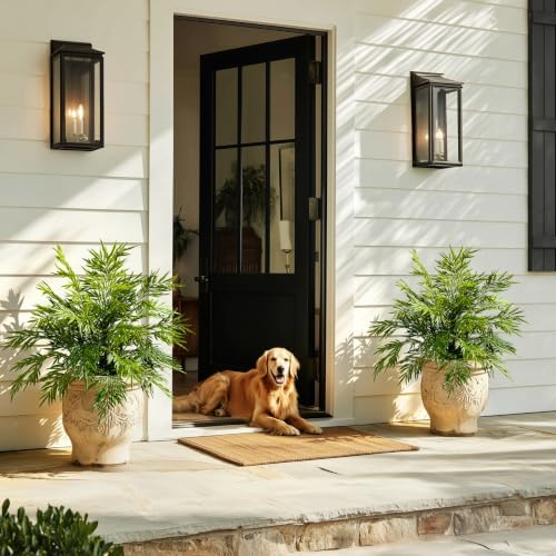 artificial fern plants in pots artificial boston ferns showing dimensions