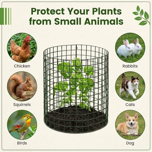 hacaroa 12 pack wire plant protectors from animals, close-up detail
