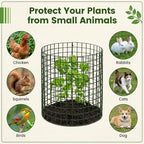 hacaroa 12 pack wire plant protectors from animals, close-up detail