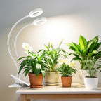 Wiaxulay Clip Grow Lights for Indoor Plants, 3.5in Full Spectrum 2 Heads | 96 LEDs Halo Plant Light 6000K+660nm, 360° Gooseneck Clip, 6/12/16H Timer, 5 Brightness,1 Pack for Seed Starting Hydroponics