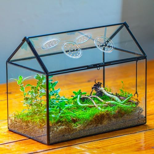 ncyp glass terrarium with lid and air holes, package contents