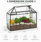ferrisland glass geometric plant terrarium, clear glass succulent shown in use
