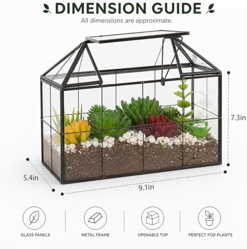 ferrisland glass geometric plant terrarium, clear glass succulent shown in use