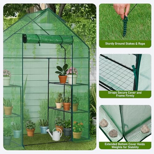 outvita walk-in greenhouse, 3 tiers 4 shelves, durable showing dimensions