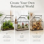 large glass terrarium house planter – succulent plant, side view