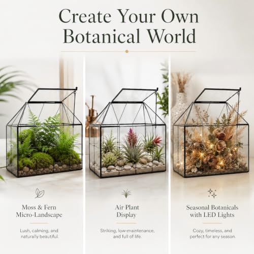 large glass terrarium house planter – succulent plant, side view
