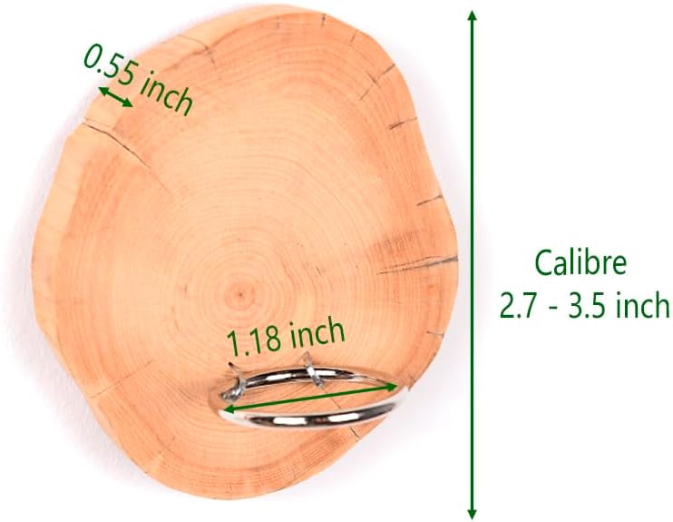 Magnetic air Plant Holder Refrigerator Sticker (Cypress Wood, 3) | Natural Wood Irregular Shape air Plant Wall Mount Holder. Refrigerator, Wall Decoration.living rooms, and kitchens