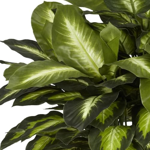 nearly natural 24 in artificial golden dieffenbachia plant showing dimensions