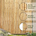 4ft x 6ft natural bamboo fence roll, outside on a desk or shelf