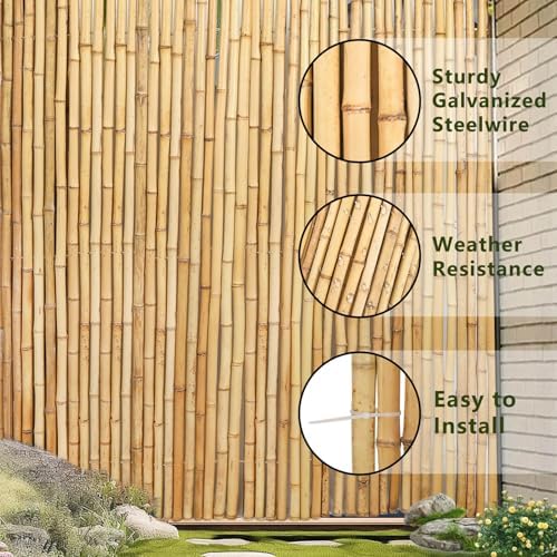 4ft x 6ft natural bamboo fence roll, outside on a desk or shelf