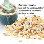 TOYPOPOR Coarse Silica Sand 2.2lb for Bonsai Cacti Succulent and Carnivorous Plant Mix