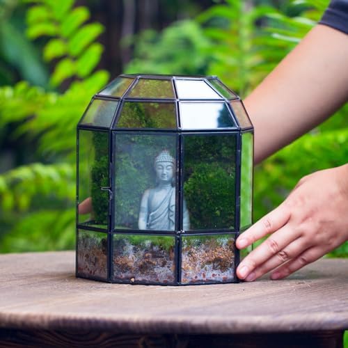 ncyp half dome geometric glass terrarium with door on a desk or shelf