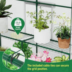 specilite 56×56×78inch walk-in greenhouse for outdoors garden plant, side view