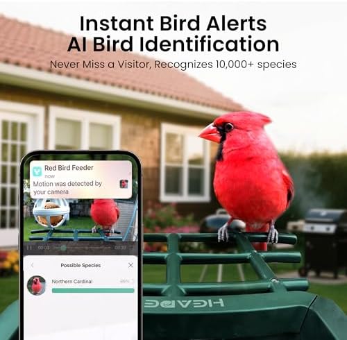 smart bird feeder with camera solar powered, 2k, close-up detail