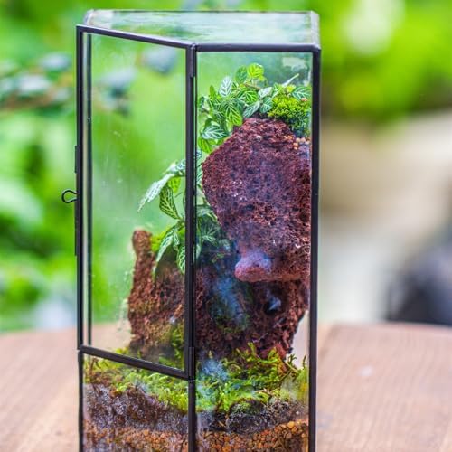 ncyp glass terrarium with front opening door for, front angle view