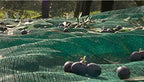 ez4garden fruits harvest collecting netting walnut olive chestnut, view 9