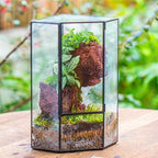 ncyp glass terrarium with front opening door for, view 9