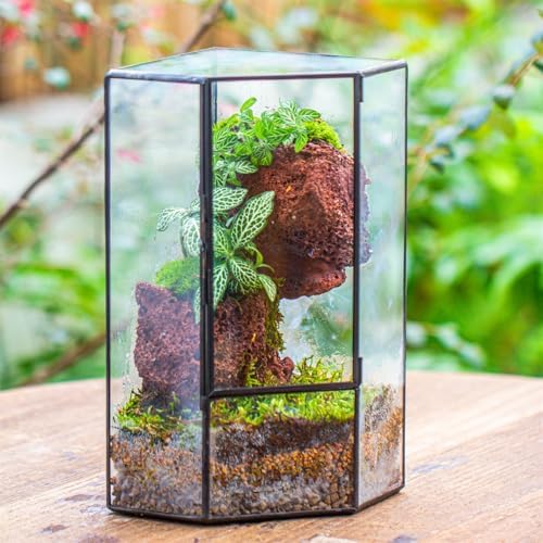 ncyp glass terrarium with front opening door for, view 9