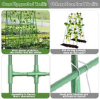 cucumber trellis for raised beds, 31 x 47, side view