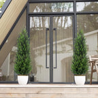 vitalismo 4ft artificial cedar trees set of 2 showing dimensions