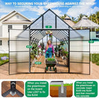 cdcasa 28x10x10 ft polycarbonate greenhouse for outdoors w/6 shown in use