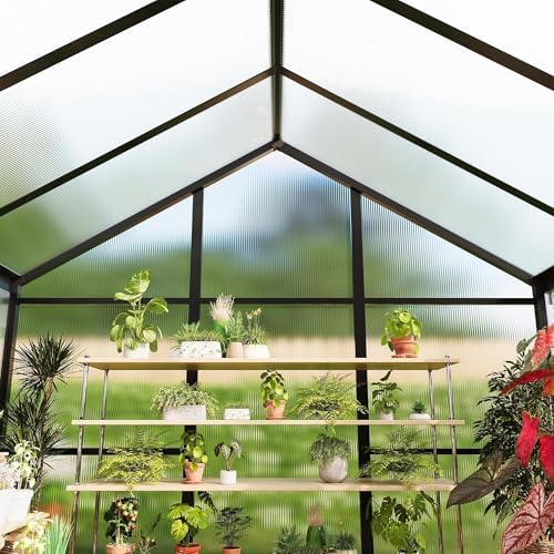 greenhouse, 6x10 ft greenhouse for outdoors, walk-in green, front angle view