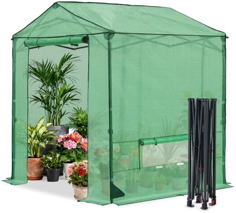 coos bay 6x6 pop up greenhouse outdoor, walk, view 9