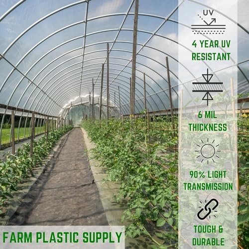 farm plastic supply - clear greenhouse plastic sheeting shown in use