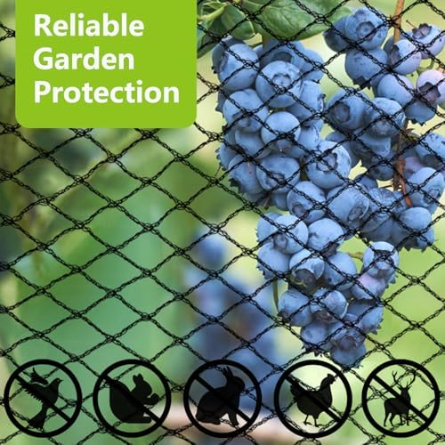 50x50ft bird netting for chicken coop, 1" mesh showing dimensions