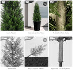 5ft tall 2 pack artificial cedar topiary trees, package contents