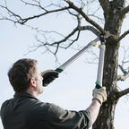 prunepro® loppers for tree trimming stainless steel branch on a desk or shelf
