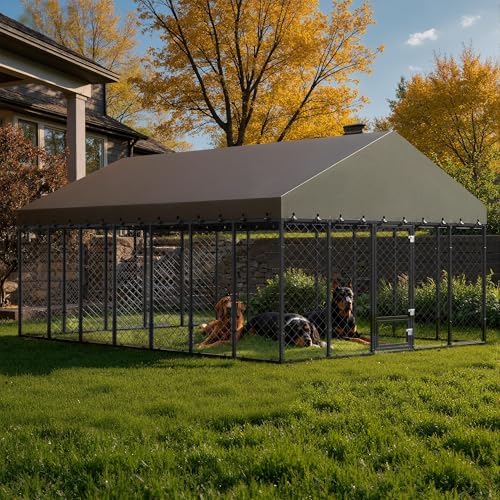 10x14ft outdoor dog kennel with roof and feeding showing dimensions