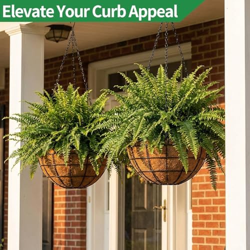 16 inch hanging planters for outdoor plants, 2 shown in use