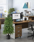 4ft artificial cedar topiary trees, outdoor artificial plants showing dimensions