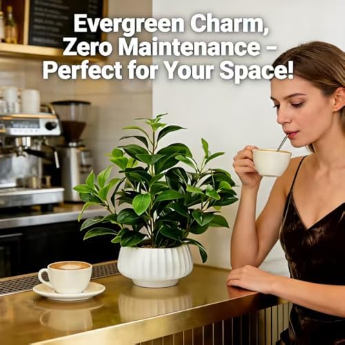 artificial peperomia plants 16” tall lifelike faux greenery showing dimensions