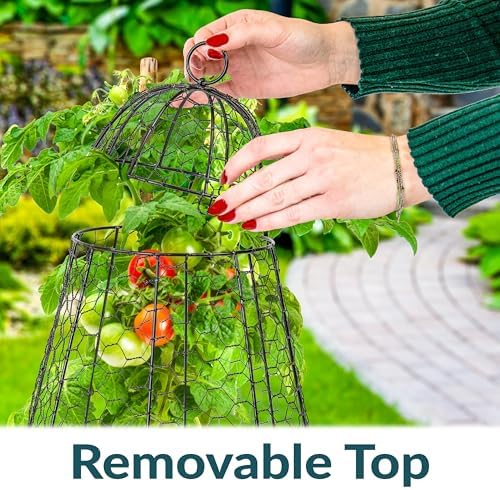 sunnydaze chicken wire cloche covers for plant protection, close-up detail