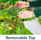 sunnydaze chicken wire cloche covers for plant protection, close-up detail
