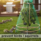 garden netting, 50' x 50' heavy duty bird showing dimensions