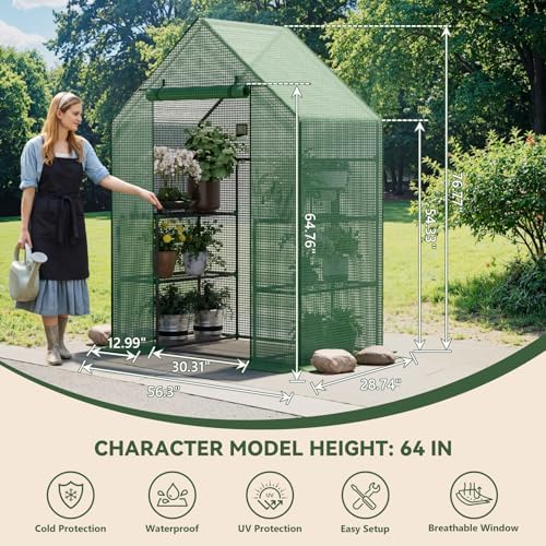 small greenhouse for outdoors, walk-in plant greenhouse with shown in use