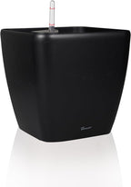 Dexceder 13x12 Self Watering Planter with Wheels Indoor Outdoor, Inner Mat Design, Thickened Large Floor Standing Flower Plant Pot with Water Level Indicator (Black Matte)