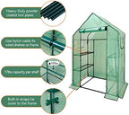 walk in greenhouse with shelves,walk-in plant plastic green on a desk or shelf
