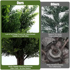 artificial cedar topiary trees 4ft set of 2, close-up detail