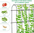 garden cucumber trellis large 6ft tall metal trellis shown in use
