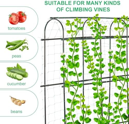 garden cucumber trellis large 6ft tall metal trellis shown in use