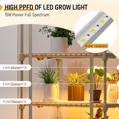 specilite 4 tiers adjustable indoor mini greenhouse with showing dimensions