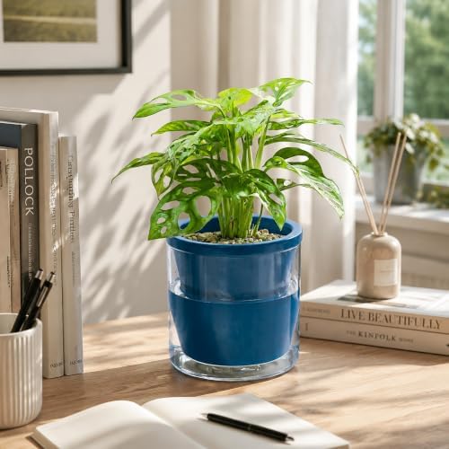 d'vine dev self-watering blue terracotta planter, 6 in, close-up detail