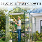 king bird premium greenhouse for outdoors, 56x56x77 upgraded on a desk or shelf